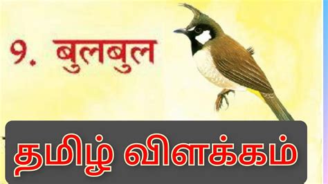 cubs and bulbuls meaning in tamil